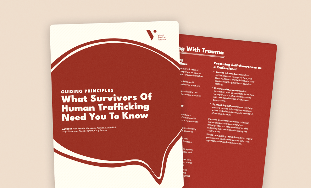 SEE THE GUIDE